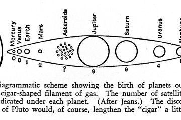 planetary ecology