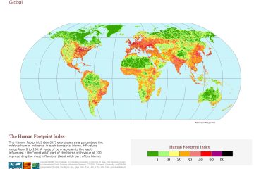 planetary ecology