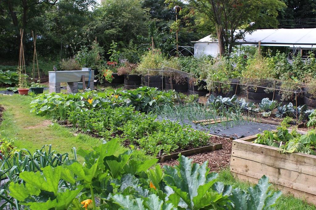 Implementing Sustainable Gardening Practices to ​Support Plant Biodiversity