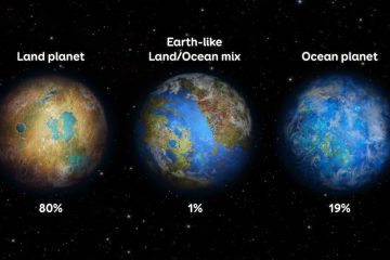 what is planetary ecosystem