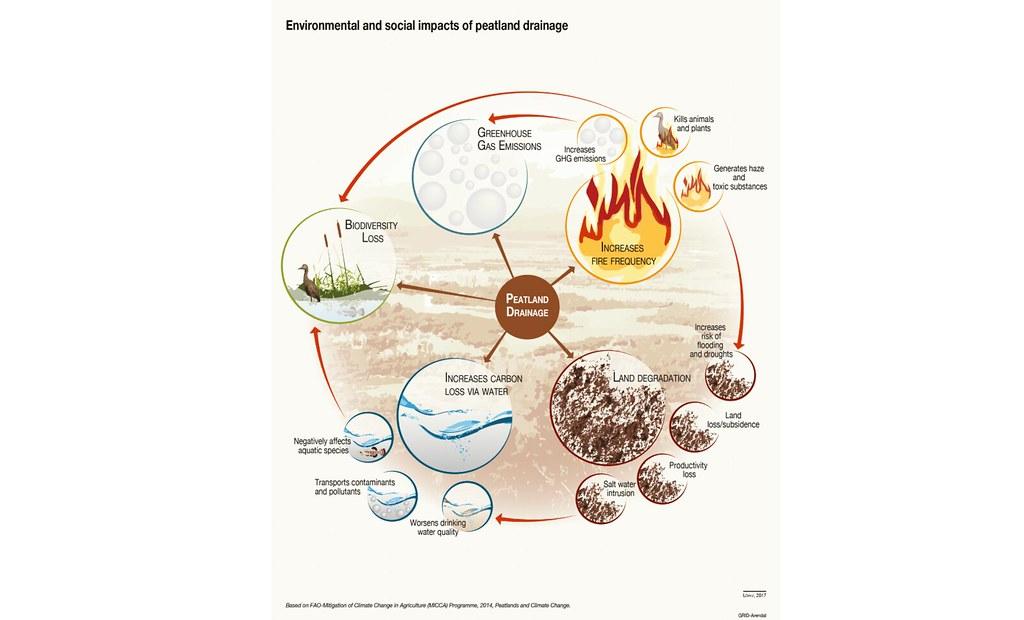 Understanding the Environmental Implications of the Gaia Hypothesis Daisyworld