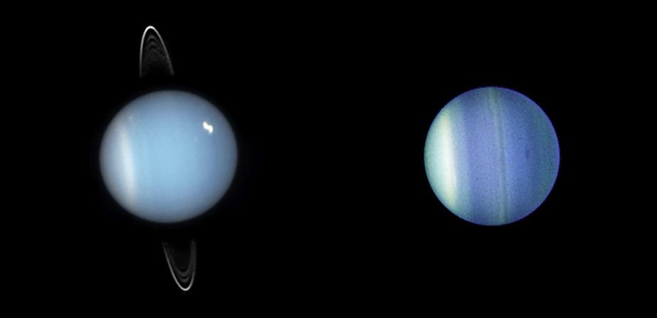 Comparing the Unique Features of Ice Giant Planets