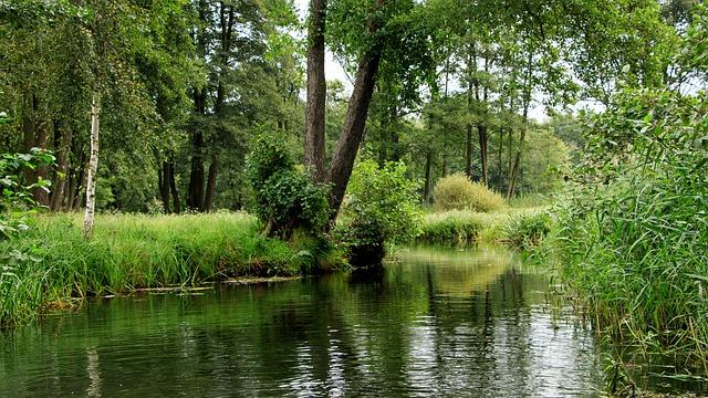 Discovering Practical Applications of the Biosphere Concept