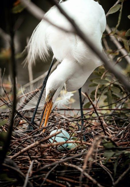 Nurturing Our Planet: Practical Steps for Gaia Hypothesis Advocates