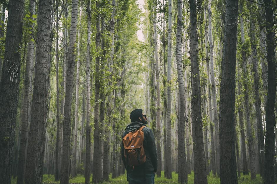 Exploring the Diversity of Plant Communities