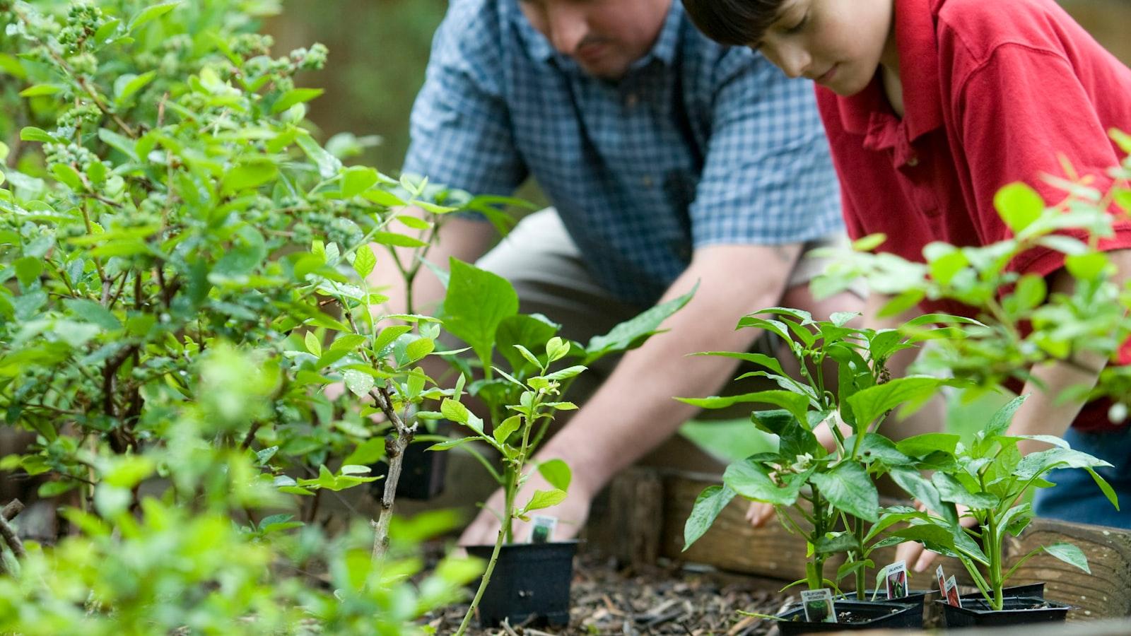 Enhancing Resilience Through Gaia-Inspired Practices