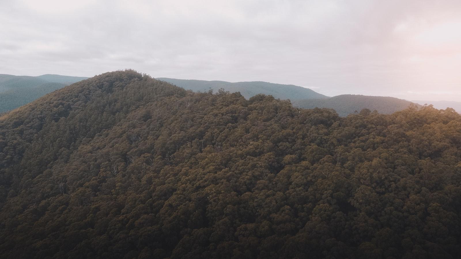 Examining the Future of Ecology Through James Lovelock's Vision