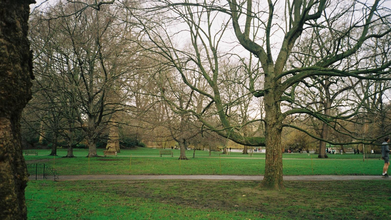 - Embracing James Lovelock's Ideas for a Sustainable Future