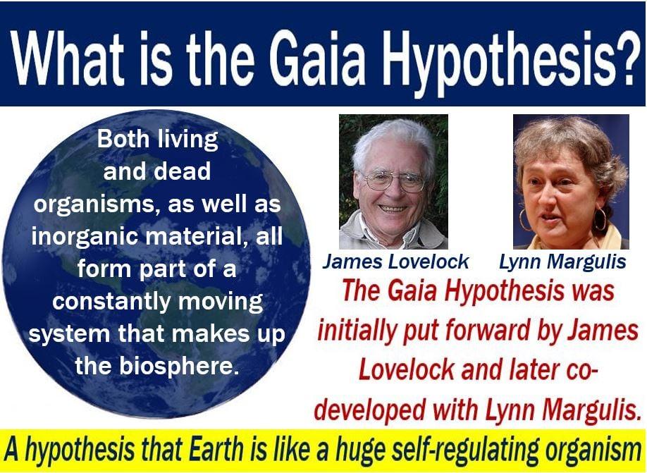 Implications of Gaia Hypothesis for Environmental‌ Conservation