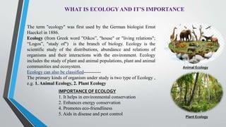 plant ecology examples