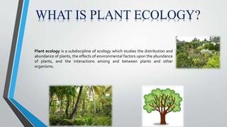 Harnessing Plant Ecology Examples for Sustainable Ecosystem Management