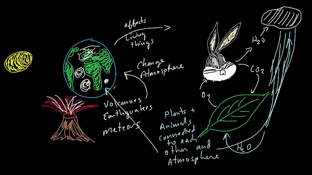 Leveraging Gaia Hypothesis Videos for a Deeper Understanding of Earth's Ecosystems