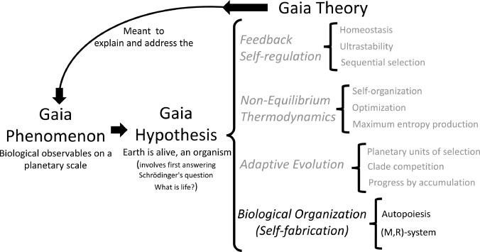 Unveiling the Impact of the Gaia Hypothesis on Environmental Awareness