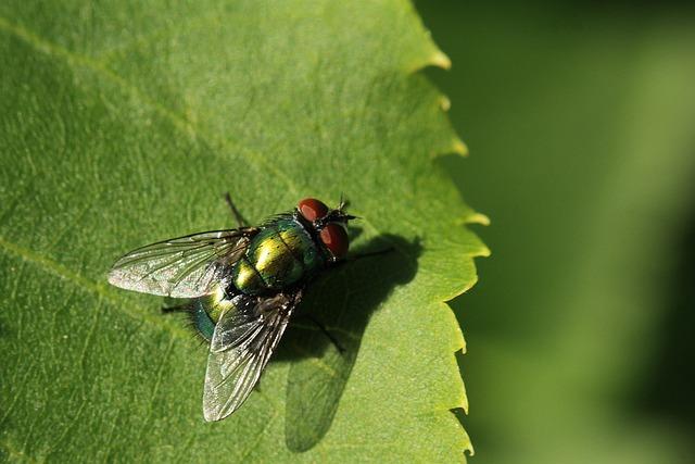 Fascinating Examples of Plant Adaptations in Diverse Ecosystems