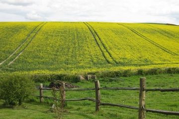 planetary boundaries ecological foundations for corporate sustainability