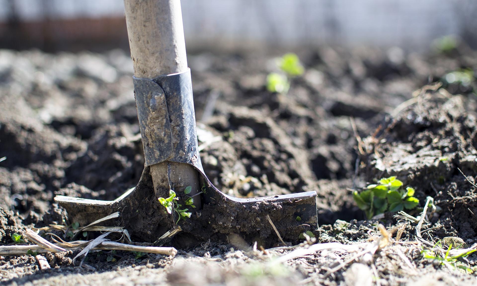 Cultivating ‌a Conscious Mindset: Lessons from ⁢James Lovelock on Happiness