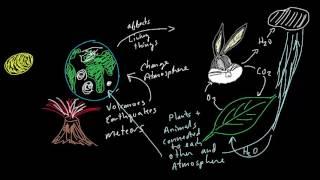 gaia theory climate change