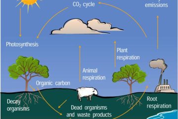 gaia hypothesis geography