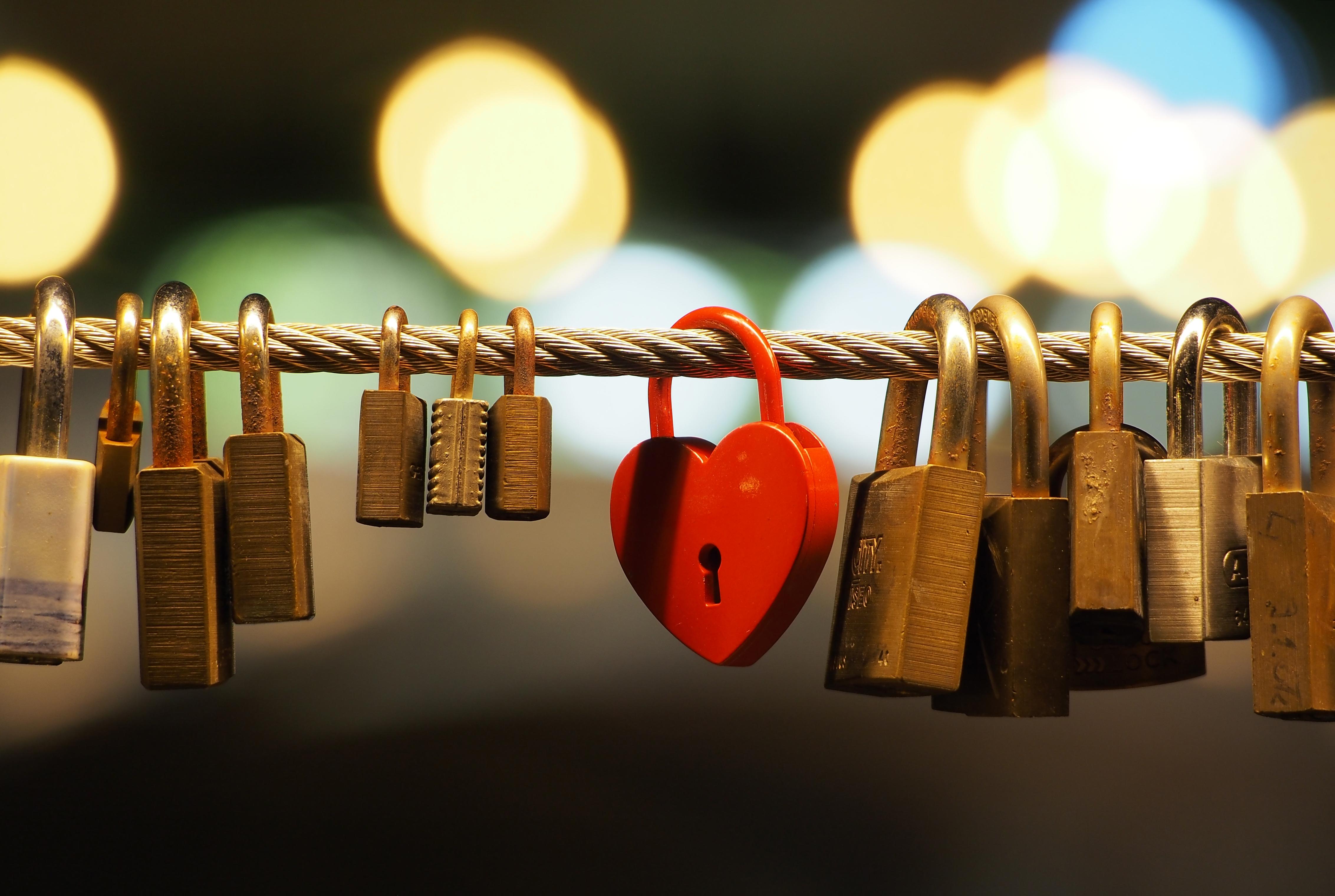 The Impact of Lovelocks Work on Modern Ecology