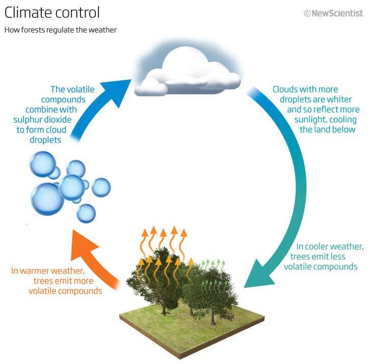 Practical Applications of the Gaia Hypothesis in Conservation