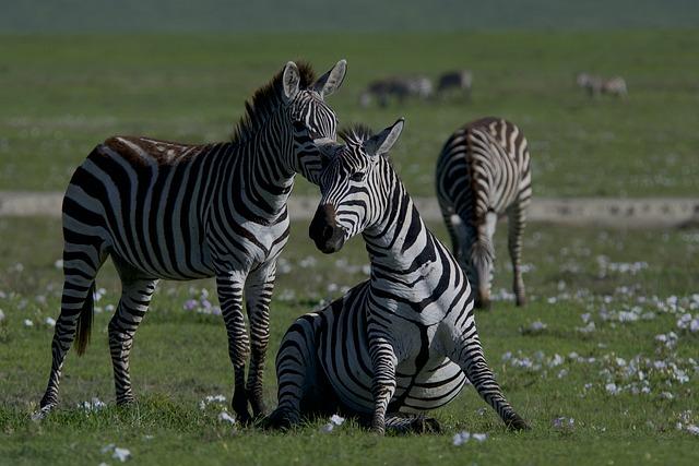 The Role of Ecosystem Interactions in the Gaia Hypothesis