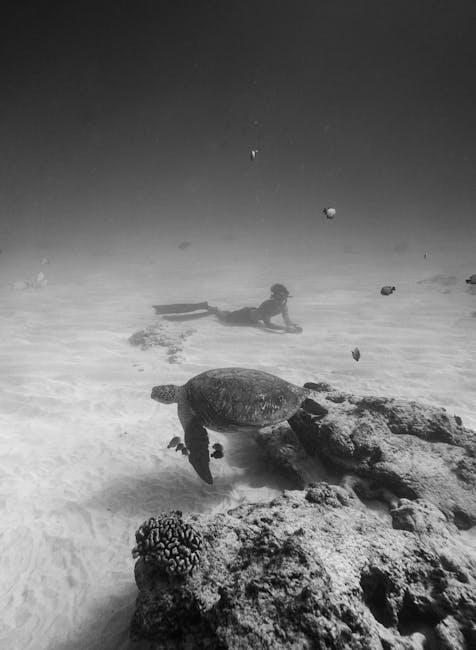 The Role of Biodiversity in Sustainable Ecosystems