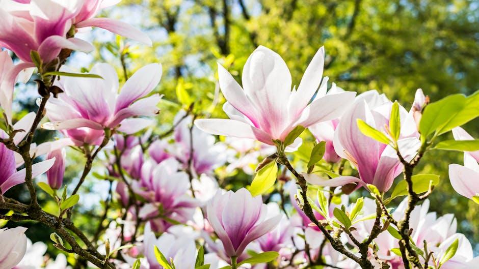 Practical Steps to Foster a Gaia-Inspired Lifestyle