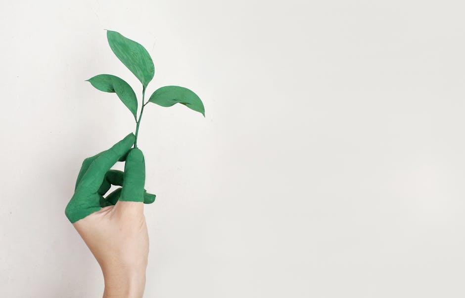 Sustainable Practices for Everyday Living
