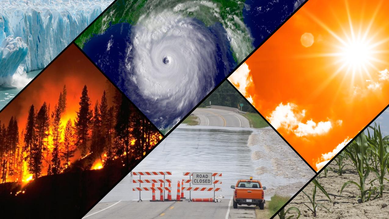 The Role of Climate Change in the Gaia Hypothesis Debate