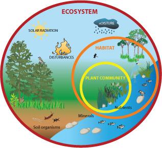 Understanding the Role of Ecosystems in the Gaia Hypothesis Framework