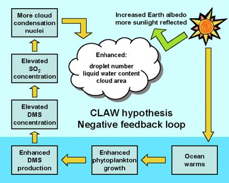 Impacts of the Gaia Hypothesis on Environmental Science